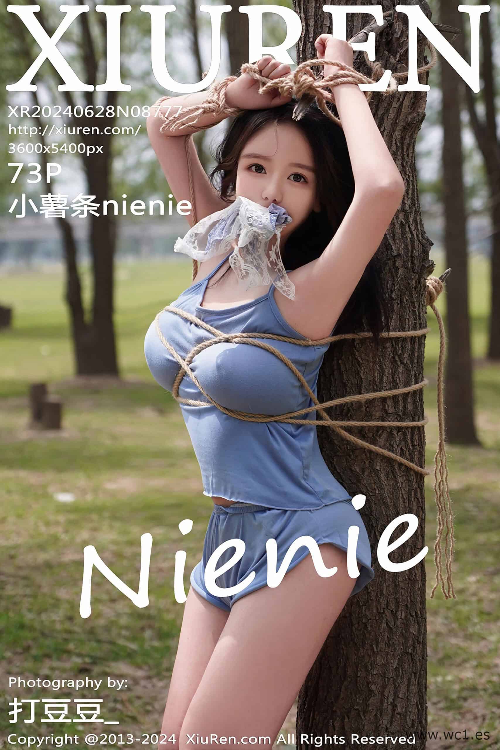 【秀人网】小薯条nienie（08777）