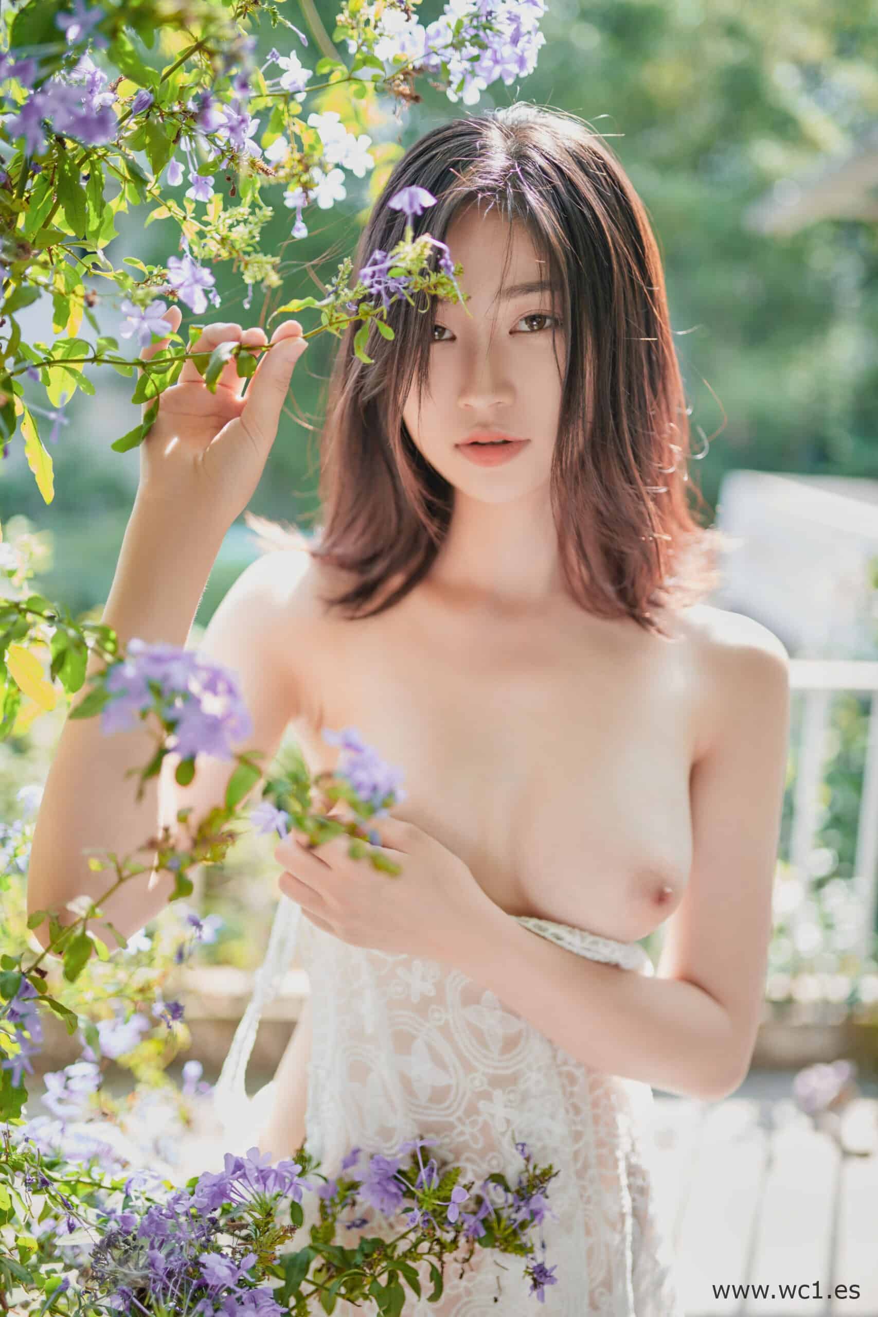 年年《夏日精灵》
